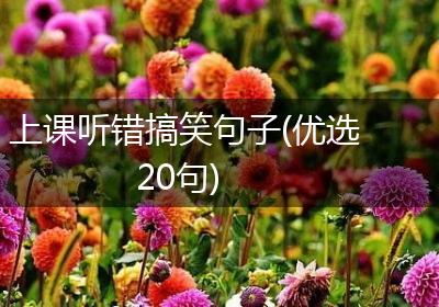 上课听错搞笑句子(优选20句)