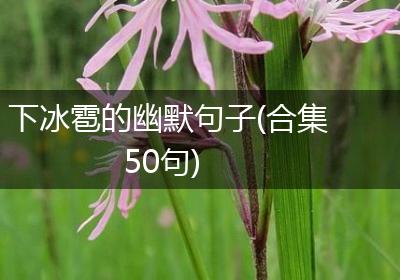 下冰雹的幽默句子(合集50句)