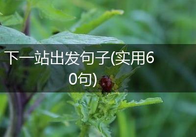 下一站出发句子(实用60句)