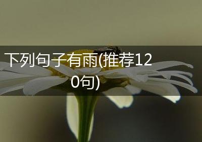 下列句子有雨(推荐120句)