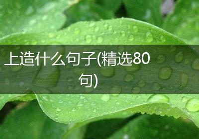 上造什么句子(精选80句)