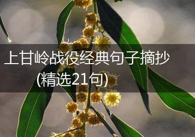 上甘岭战役经典句子摘抄(精选21句)