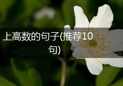 上高数的句子(推荐10句)