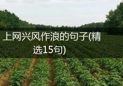 上网兴风作浪的句子(精选15句)