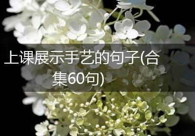 上课展示手艺的句子(合集60句)