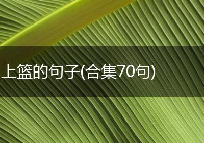 上篮的句子(合集70句)