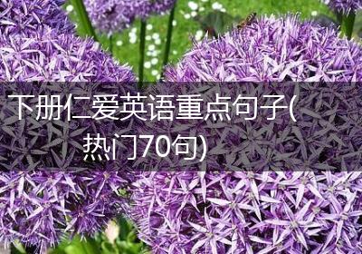 下册仁爱英语重点句子(热门70句)