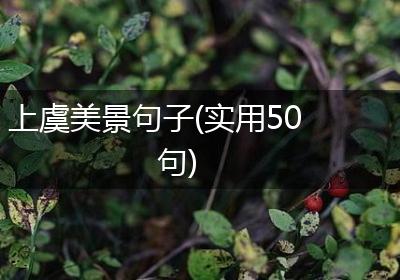 上虞美景句子(实用50句)