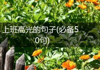 上班高光的句子(必备50句)