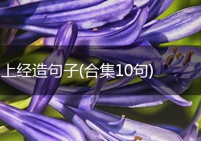上经造句子(合集10句)
