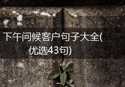 下午问候客户句子大全(优选43句)