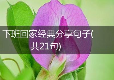 下班回家经典分享句子(共21句)