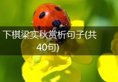下棋梁实秋赏析句子(共40句)