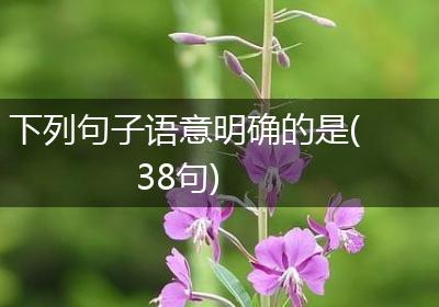 下列句子语意明确的是(38句)