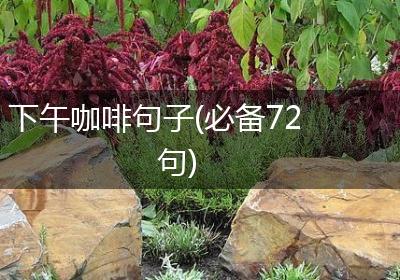 下午咖啡句子(必备72句)