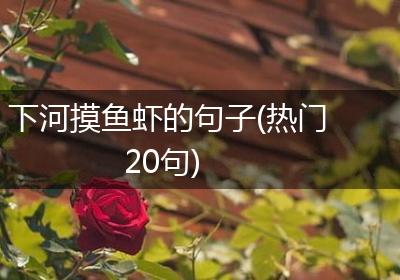 下河摸鱼虾的句子(热门20句)