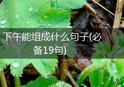 下午能组成什么句子(必备19句)