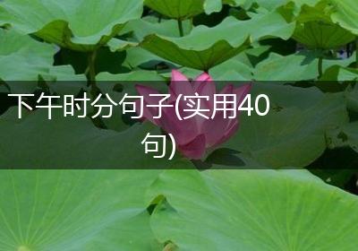 下午时分句子(实用40句)
