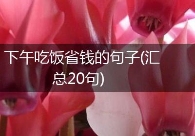 下午吃饭省钱的句子(汇总20句)