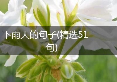 下雨天的句子(精选51句)
