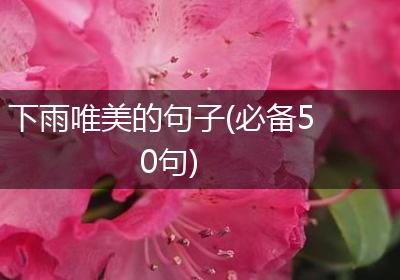 下雨唯美的句子(必备50句)