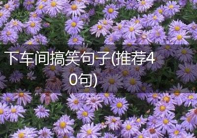 下车间搞笑句子(推荐40句)