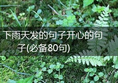 下雨天发的句子开心的句子(必备80句)