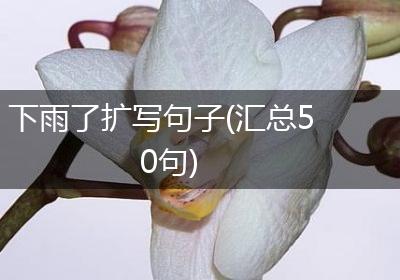 下雨了扩写句子(汇总50句)