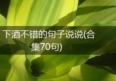 下酒不错的句子说说(合集70句)