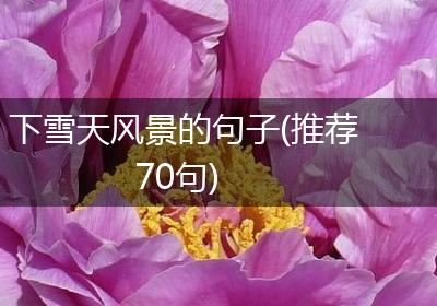 下雪天风景的句子(推荐70句)