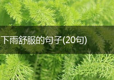 下雨舒服的句子(20句)