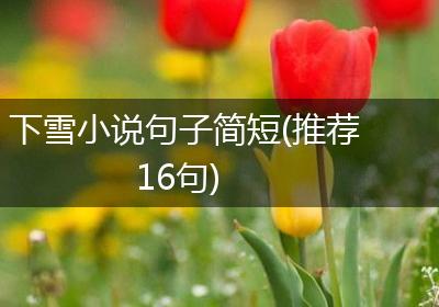 下雪小说句子简短(推荐16句)
