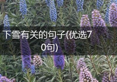 下雪有关的句子(优选70句)