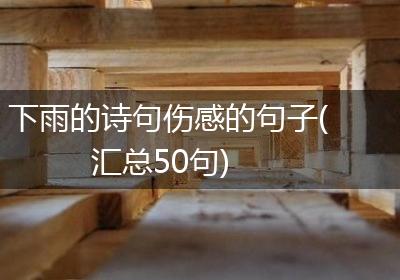 下雨的诗句伤感的句子(汇总50句)