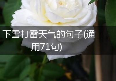 下雪打雷天气的句子(通用71句)