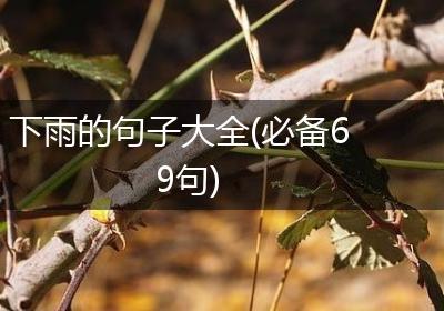 下雨的句子大全(必备69句)