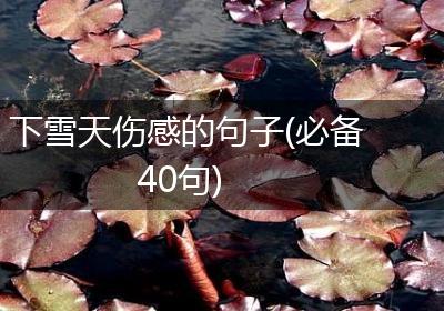 下雪天伤感的句子(必备40句)