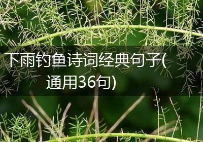 下雨钓鱼诗词经典句子(通用36句)