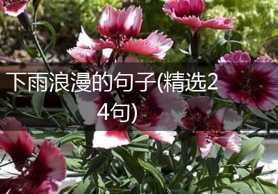 下雨浪漫的句子(精选24句)