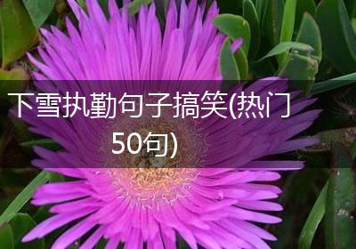 下雪执勤句子搞笑(热门50句)