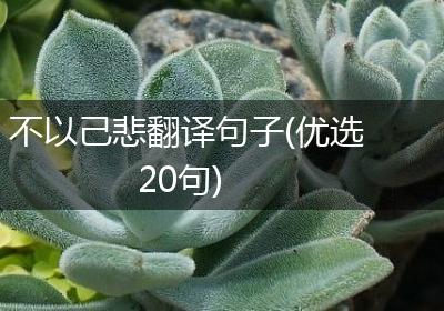 不以己悲翻译句子(优选20句)