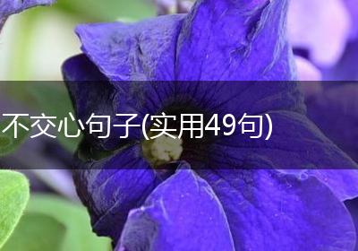 不交心句子(实用49句)