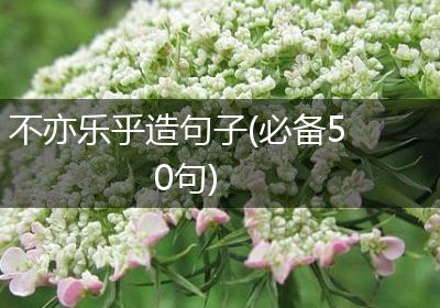 不亦乐乎造句子(必备50句)