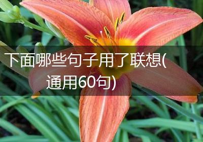 下面哪些句子用了联想(通用60句)