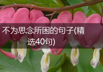 不为思念所困的句子(精选40句)
