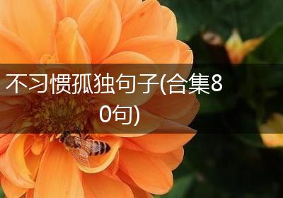 不习惯孤独句子(合集80句)