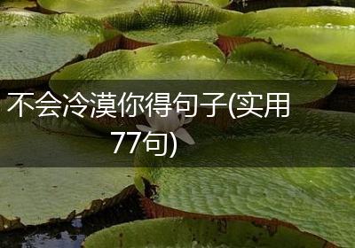 不会冷漠你得句子(实用77句)