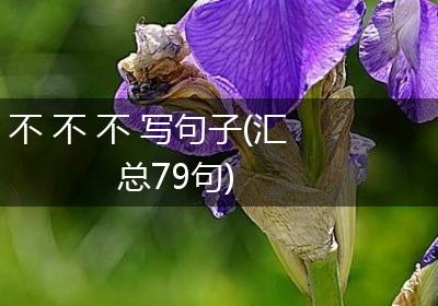 不 不 不 写句子(汇总79句)