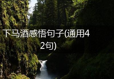 下马酒感悟句子(通用42句)