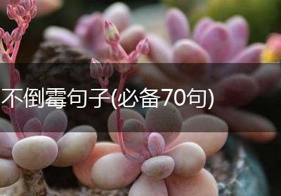 不倒霉句子(必备70句)